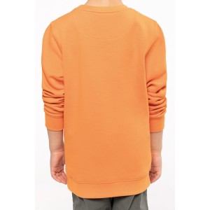Sweats / Sudadera cuello redondo