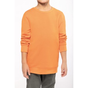 Sweats / Sudadera cuello redondo