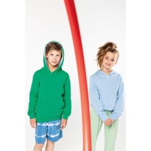 Sweats / Sudadera capucha