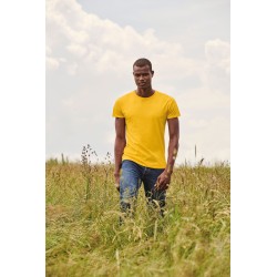 Camiseta / Camiseta