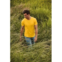 Camiseta / Camiseta